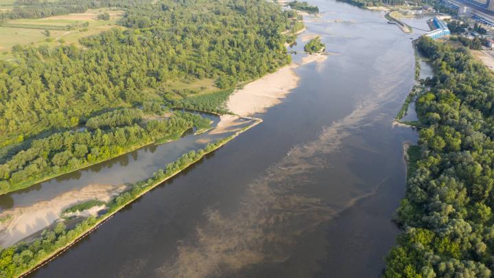 Mazowieckie/ Prawie 2 mln zł na ochronę zagrożonych gatunków ptaków