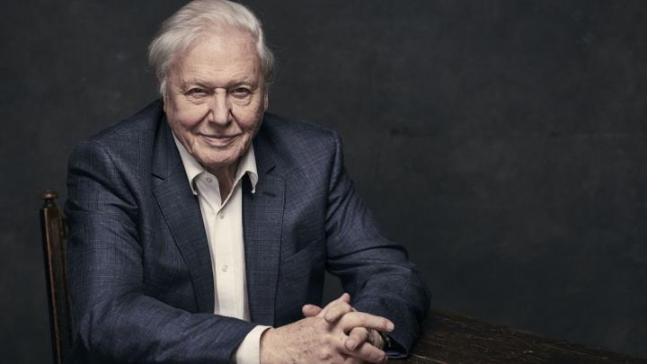 Współpracownik o Davidzie Attenborough: ma fenomenalny instynkt telewizyjny