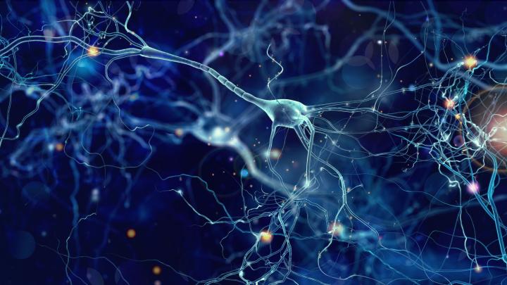 Zabrze/ Neurostrada o diagnostyce i leczeniu chorób neuroimmunologicznych