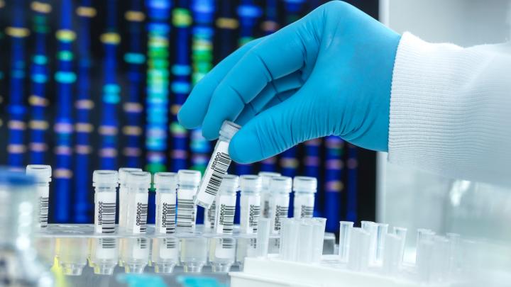 UJ: badacze opracowali narzędzie, które pomoże badać jedne z najważniejszych białek w biologii