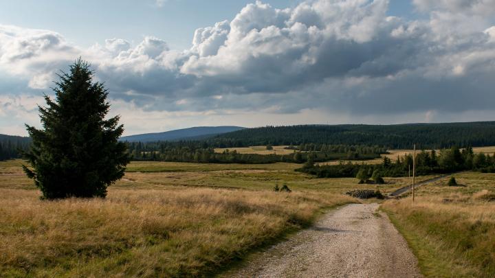 Archeolog: kamienne wały w Górach Izerskich znikają, choć są unikatowym świadectwem historii