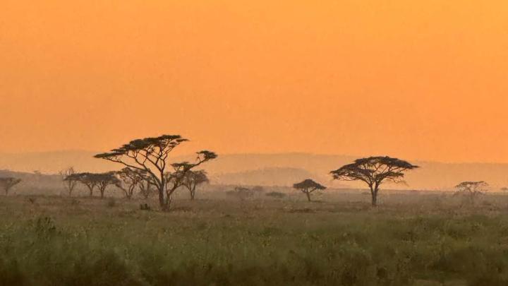 Tanzania / Polska misja archeologiczna rozpoczęła regularne badania w Serengeti