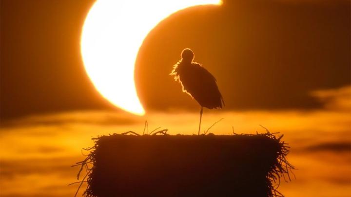 Fotografia Włodzimierza Bubaka zdjęciem dnia NASA