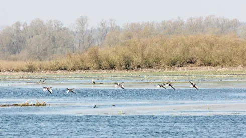 Fot. PAP/ Lech Muszyński 26.03.2020