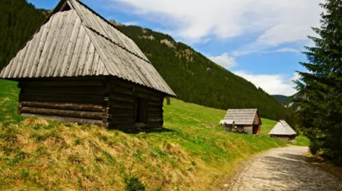 źródło: Fotolia