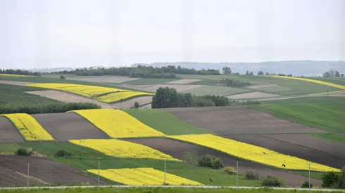 Chłopice, 29.04.2018. krajobraz rolniczy (dd/cat) PAP/Darek Delmanowicz