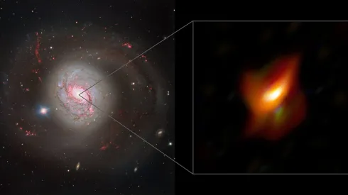 Zdjęcie w lewym panelu pokazuje widok galaktyki aktywnej Messier 77 uchwycony przez instrument FOcal Reducer and low dispersion Spectrograph 2 (FORS2) na należącym do ESO teleskopie VLT. Prawy panel stanowi widok w powiększeniu na bardzo wewnętrzny obszar tej galaktyki, jej aktywne jądro widziane przez instrument MATISSE pracujący na interferometrze VLTI.