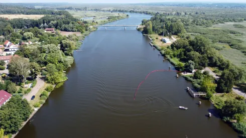 16.08.2022. Strażacy z Państwowej Straży Pożarnej stawiają na Odrze kolejną zaporę elastyczną mającą za zadanie wyłapywanie śniętych ryb w Gryfinie. PAP/Marcin Bielecki