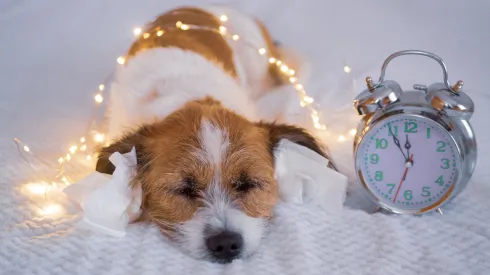 Źródło: Adobe Stock