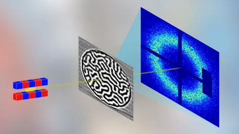 Impuls światła, emitowany przez elektrony w undulatorze lasera rentgenowskiego, trafia w próbkę z materiału o własnościach magnetycznych, rozprasza się i tworzy pierścień dyfrakcyjny. Średnica pierścienia zależy od średniej odległości między domenami magnetycznymi, a jego natężenie jest tym większe, im silniejsze jest namagnesowanie próbki. (Źródło: IFJ PAN)