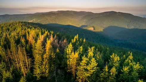 Gorce Mountains at sunrise, credit: Piotr Szpakowski, Adobe Stock