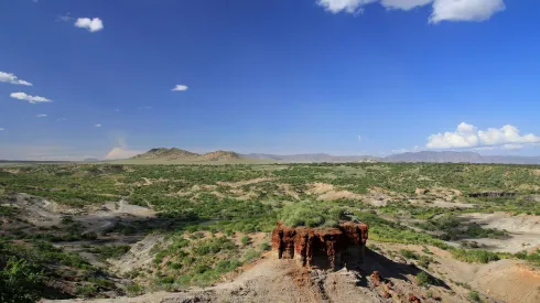 Wąwóz Olduvai w Tanzani. Fot. Adobe Stock