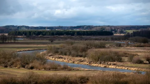 Góra Strękowa, woj. podlaskie, 01.02.2025. Widok na Dolinę Narwi ze wzniesienia za wsią. Bezsnieżna zima spowodowała bardzo niski poziom wody w rzece i suszę hydrologiczną. PAP/Michał Zieliński