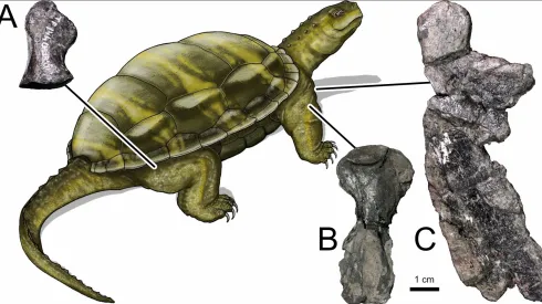 Fot. materiały prasowe