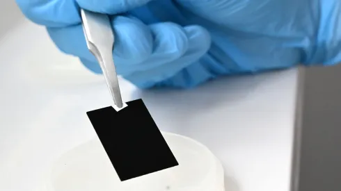 Fot. materiały prasowe