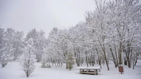 26.11.2025. Śnieg w Poznaniu. PAP/Jakub Kaczmarczyk