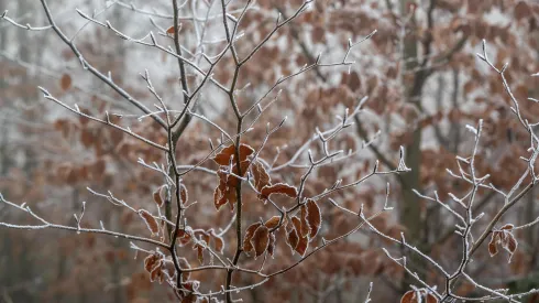  03.12.2024 PAP/Darek Delmanowicz