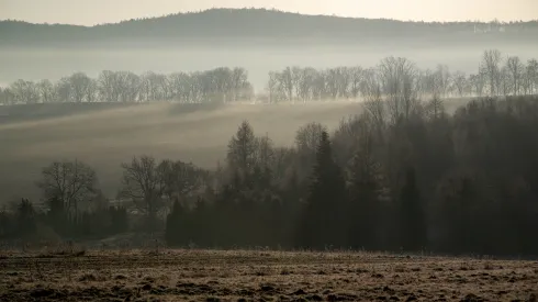 19.12.2025. PAP/Darek Delmanowicz