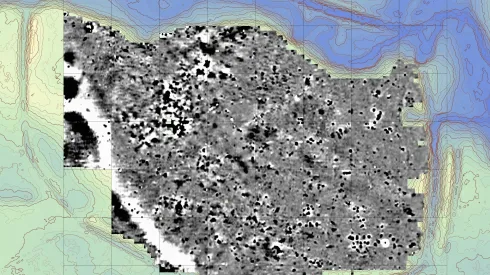 Wyniki badań geofizycznych na terenie dawnego miasta. Oprac. P. Wroniecki