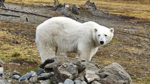 Fot. Krzesimir Tomaszewski