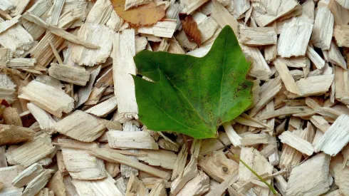 Fot. materiały prasowe Politechnika Wrocławska