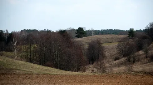 23.03.2025. Pola uprawne. PAP/Michał Zieliński