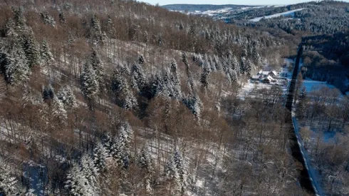 Makowa, fragment lasu na terenie Nadleśnictwa Bircza, gdzie znajdują się tereny tzw. reliktowej Puszczy Karpackiej. (ad) PAP/Darek Delmanowicz