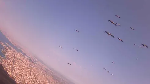 Fot. materiały prasowe UPP