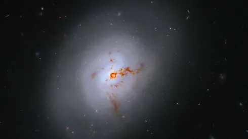 Zdjęcie galaktyki soczewkowatej NGC 1266 wykonane przez Kosmiczny Teleskop Hubble’a. Źródło: NASA, ESA, K. Alatalo (STScI); Przetwarzanie obrazu: G. Kober (NASA/Catholic University of America).