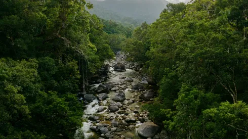 Fot. Adobe Stock