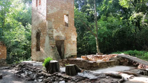 Źródło: Muzeum Pałacu Króla Jana III w Wilanowie