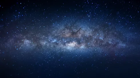 Fot. Adobe Stock