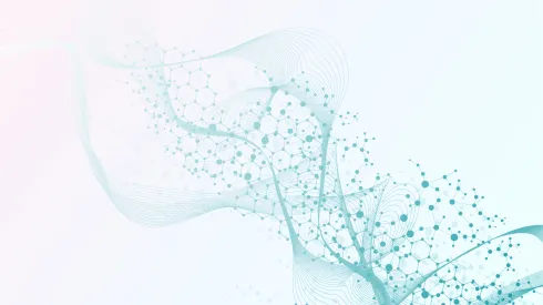 Fot. Adobe Stock