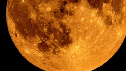 Złota tarcza Księżyca podczas tzw. Pełni Jesiotrów widoczna na bezchmurnym, nocnym niebie (sko) PAP/Łukasz Gągulski