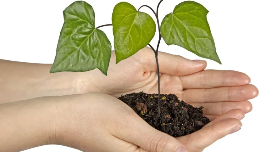 Fot. Fotolia