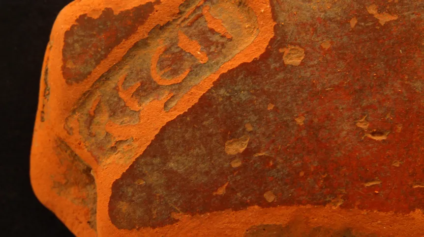 Fragment terra sigillata - Wymysłowo, okres rzymski. Fot. Muzeum Archeologiczne w Poznaniu 