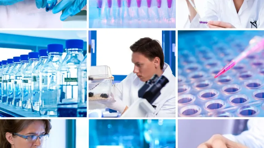 Fot. Fotolia