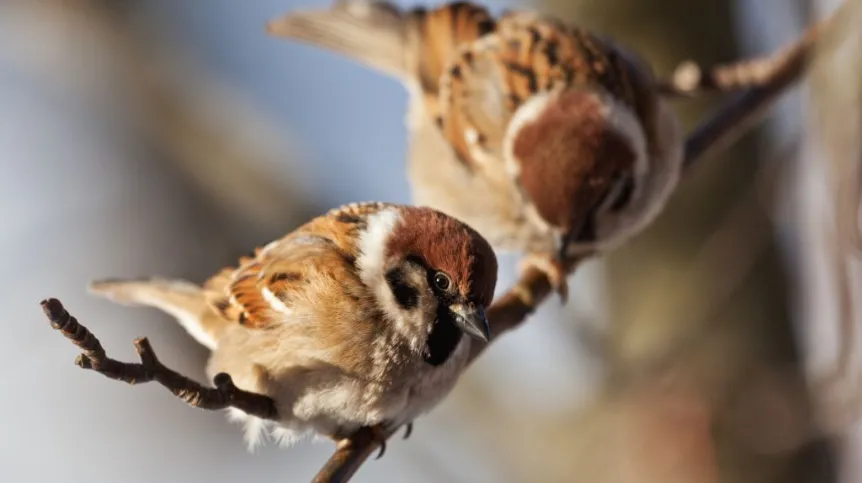 Fot. Fotolia 