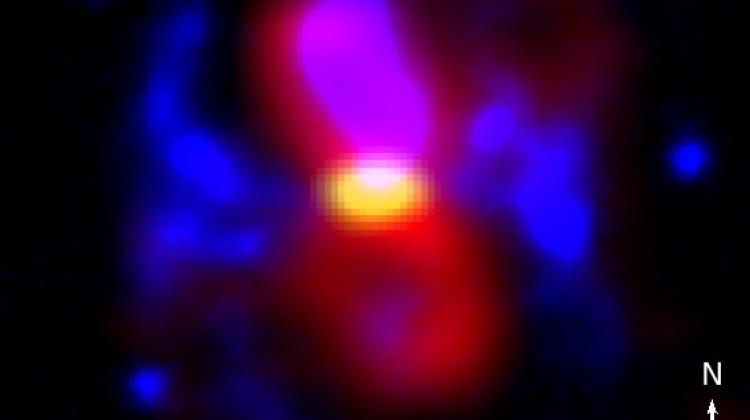 CK Vul otoczona jest teraz torusem pyłu (żółty), zimnym gazem molekularnym (czerwony) oraz gorącym gazem atomowym (niebieski). Fot. Tomasz Kamiński 