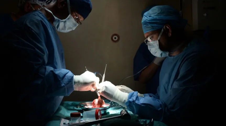 Fot. PAP/ Jacek Turczyk 23.06.2015