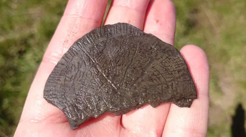 Kamień słoneczny znalezione w czasie kwietniowych badań przez studentów z Instytutu Archeologii UW. Fot. Marta Bura