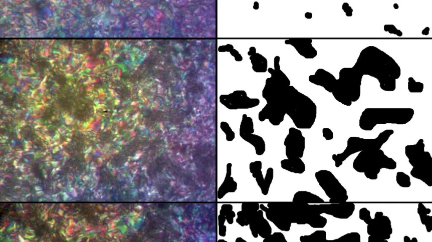 Rozrost obszarów skrystalizowanych (lewa kolumna, fotografie z mikroskopu polaryzacyjnego) oraz ich numeryczna analiza, pozwalająca na oszacowanie stopnia krystalizacji (prawa kolumna). Źródło: IFJ PAN