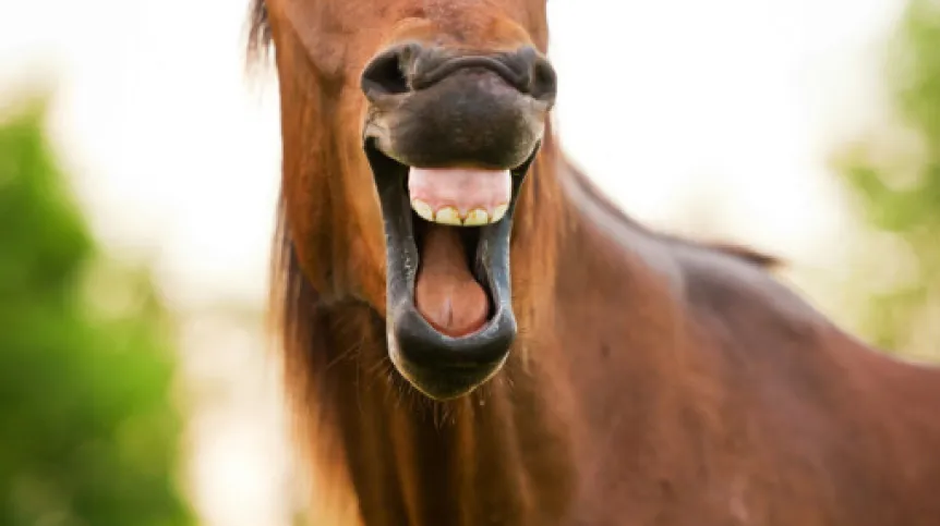 Fot. Fotolia