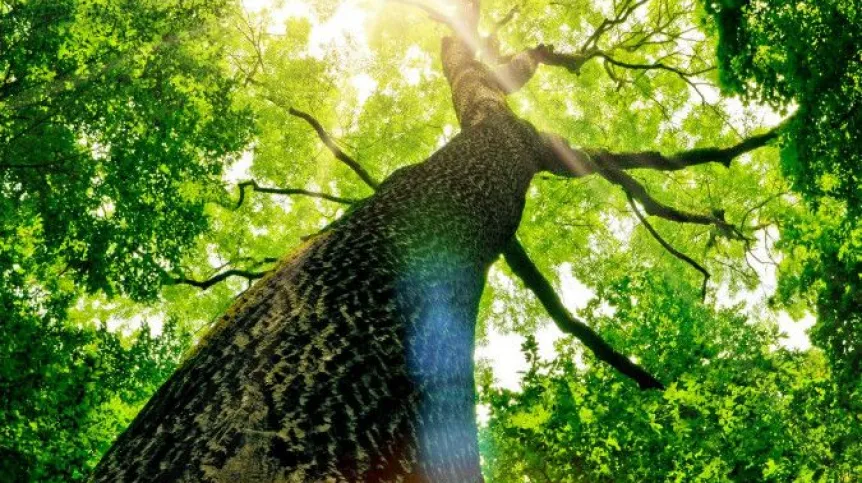 Fot. Fotolia