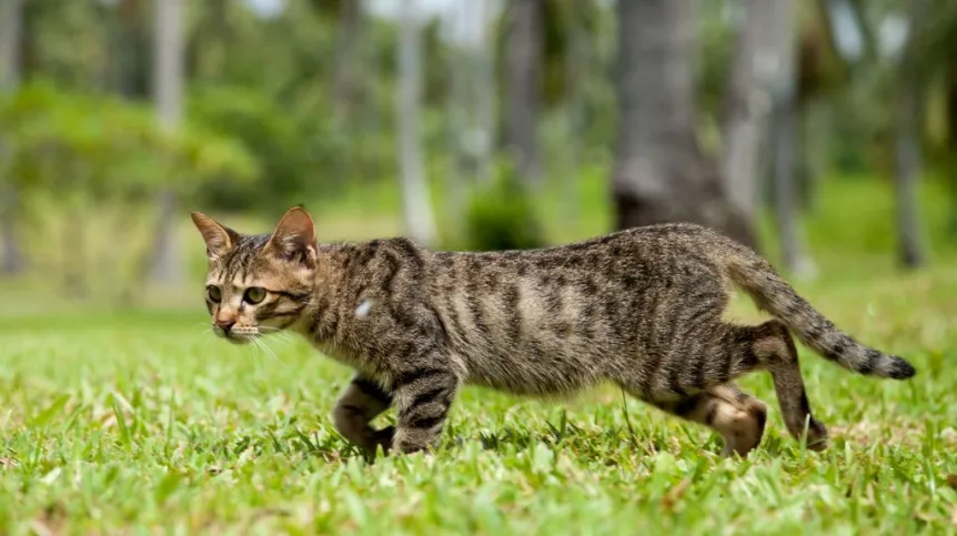 Fot. Fotolia