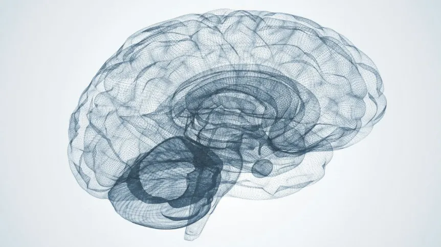 Fot. Fotolia