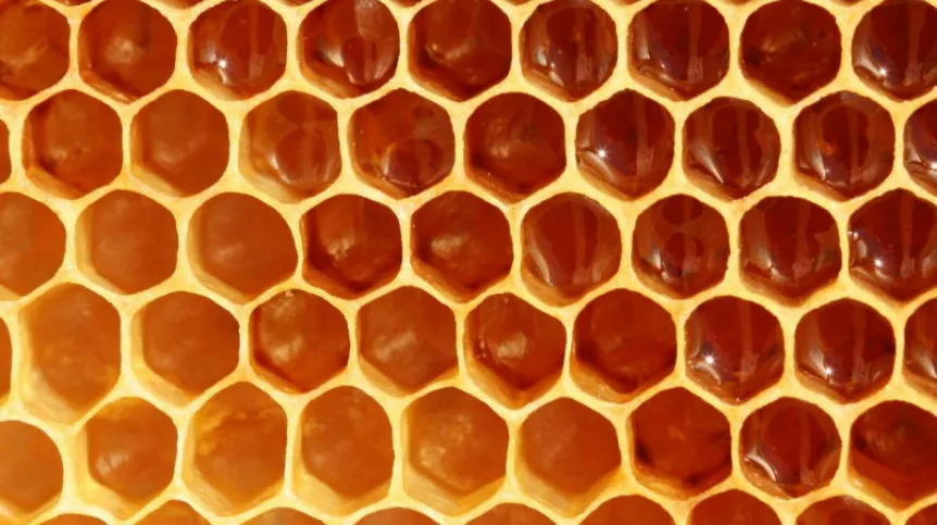 Fot. Fotolia