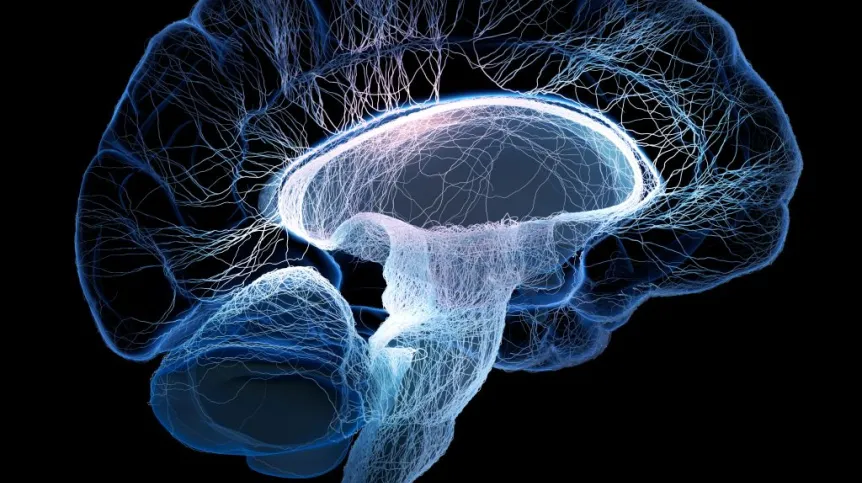 Fot. Fotolia