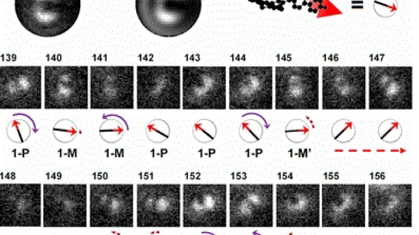Spinning Rods Under Microscope And yet they move! The movement of synthetic molecular motors can be ...