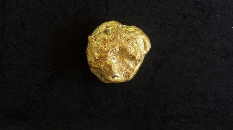 Bryłka złotego kruszcu, fot. M. Lemke 